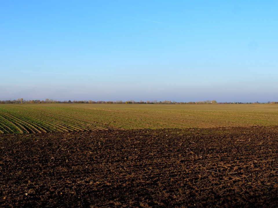 Field Stolpe on 2019-11-11 05