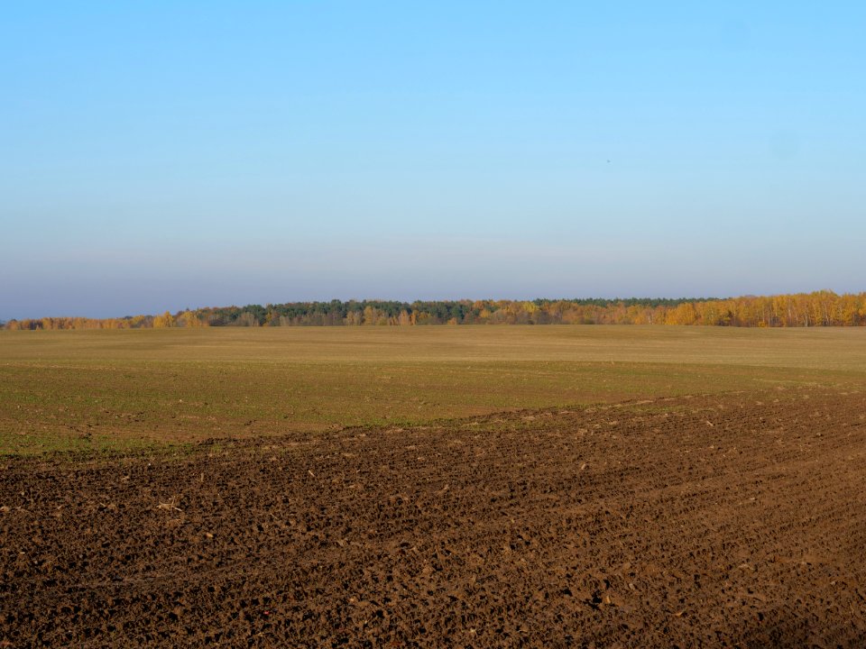 Field Stolpe on 2019-11-11 02