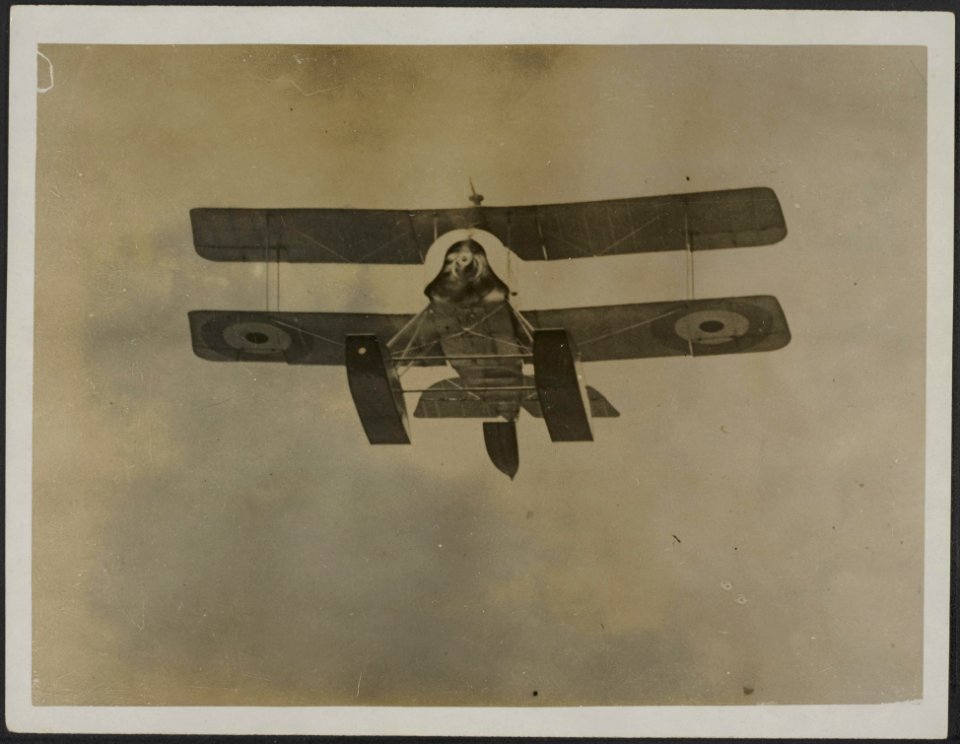 Fighting seaplane in flight., Bestanddeelnr 158-2045