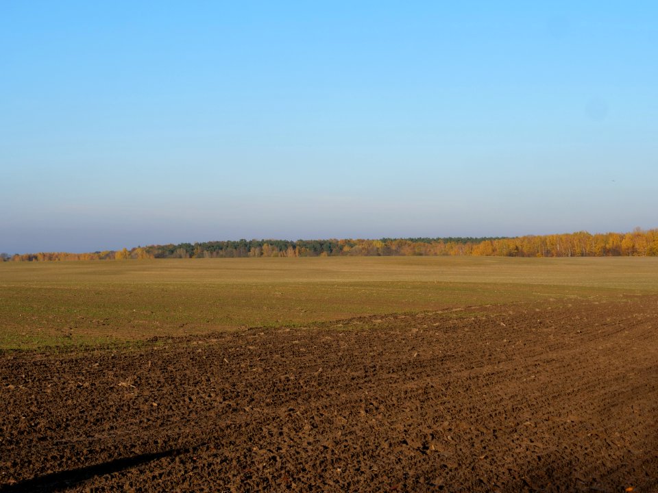 Field Stolpe on 2019-11-11 03