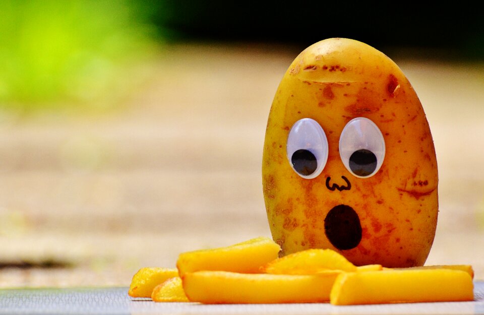 Funny fun horrified