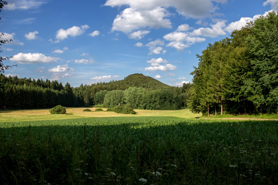 Fichtelberg (Königstein) 02