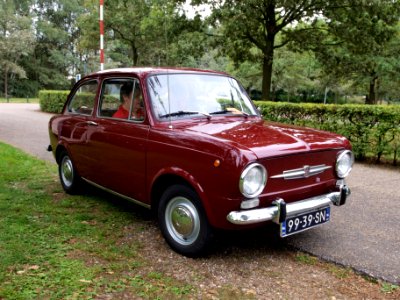 Fiat 850E (1972), Dutch licence registration 99-39-SN, at the Autotron, Rosmalen p2