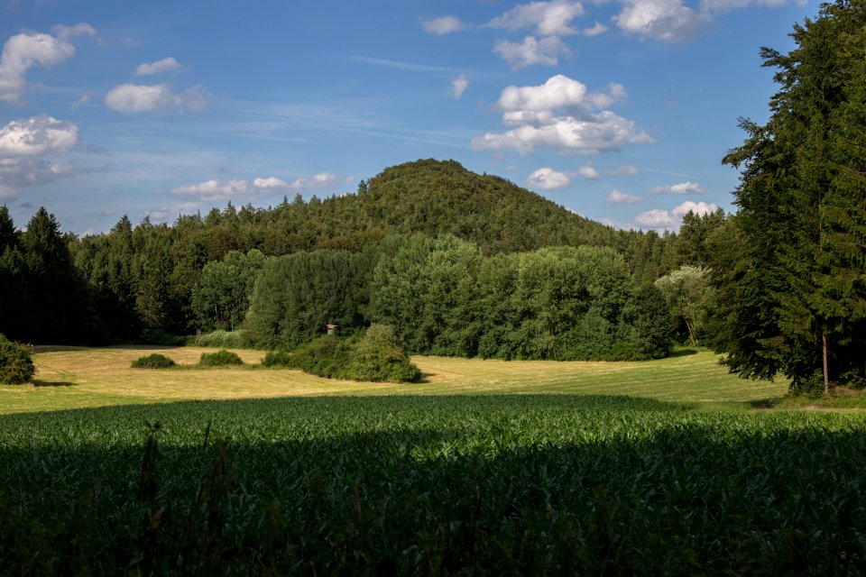 Fichtelberg (Königstein) 03