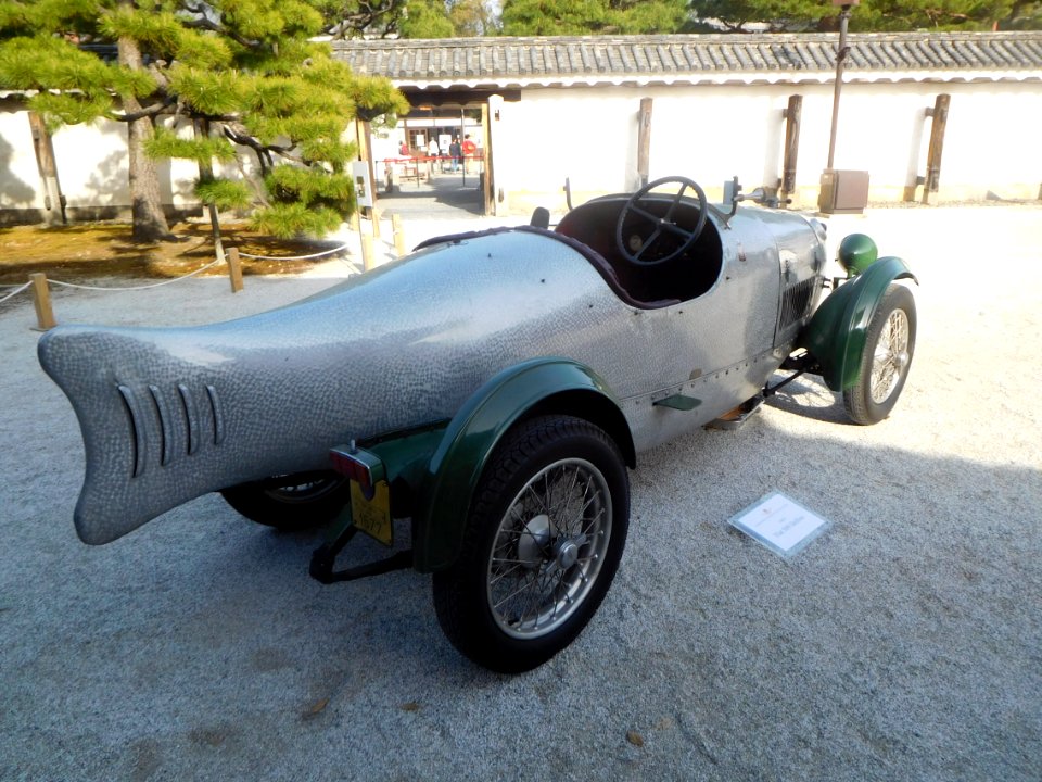 Fiat 509 Delfino 004