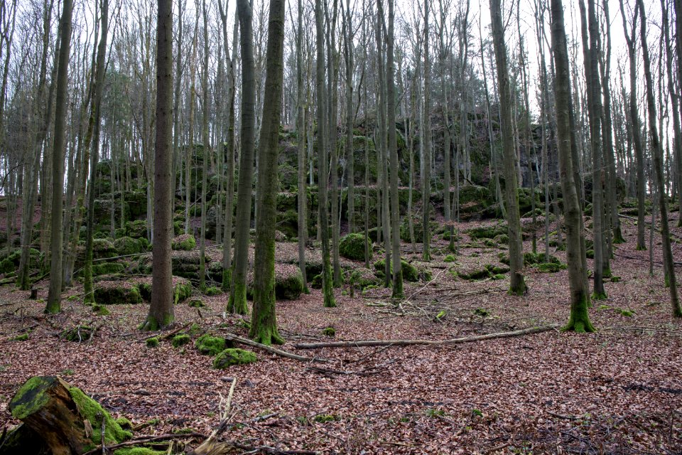 Fichtelberg (Königstein) 01