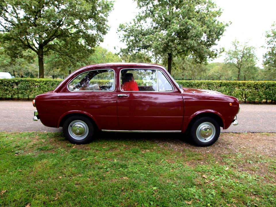 Fiat 850E (1972), Dutch licence registration 99-39-SN, at the Autotron, Rosmalen p4