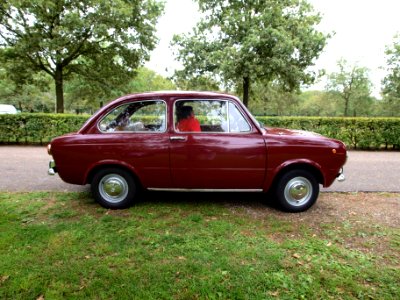 Fiat 850E (1972), Dutch licence registration 99-39-SN, at the Autotron, Rosmalen p4