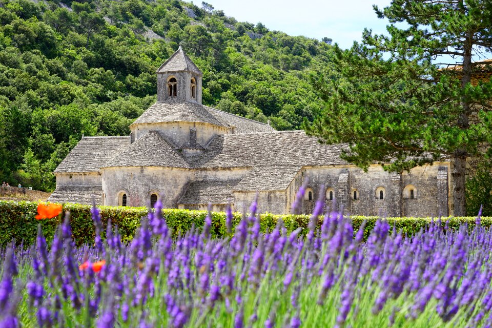 Notre dame de sénanque the order of cistercians gordes