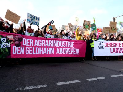 Front banner of the "Wir Haben Es Satt!" Demonstration 2019 05