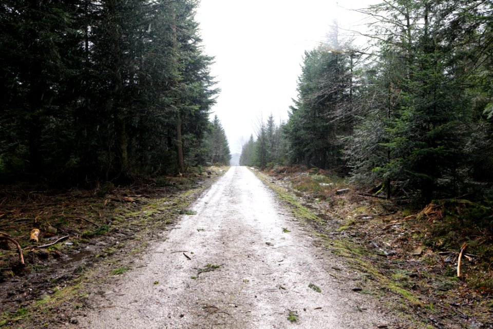 From Jägerpfad to Kniebis 2020-03-12 01