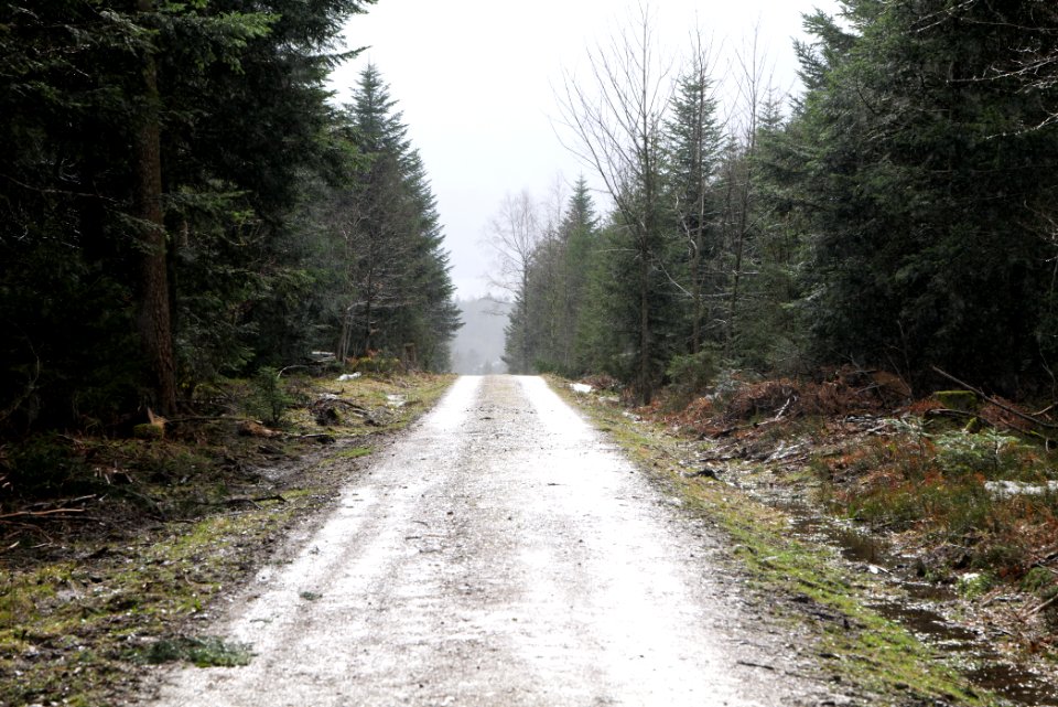From Jägerpfad to Kniebis 2020-03-12 02