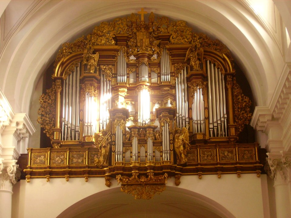 Fulda Dom St. Salvator & Bonifatius Innen Orgel 3