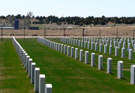 Ft. McPherson National Cemetery headstones and background