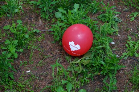 FS lvoers balloon (OSCAL19 trip)