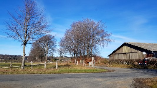 Fußfälle Büllingen-Wirtzfeld Nummer 3 (5)