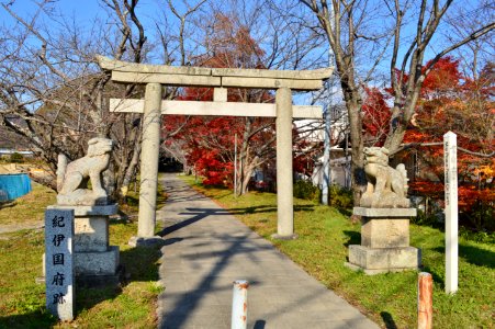 Fumori-jinja, torii-2