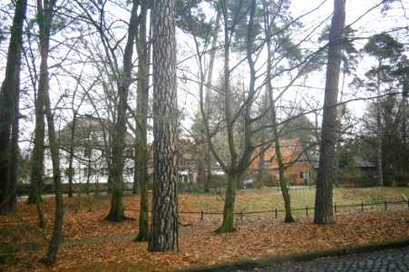 Frohnau Edelhofdamm NO1