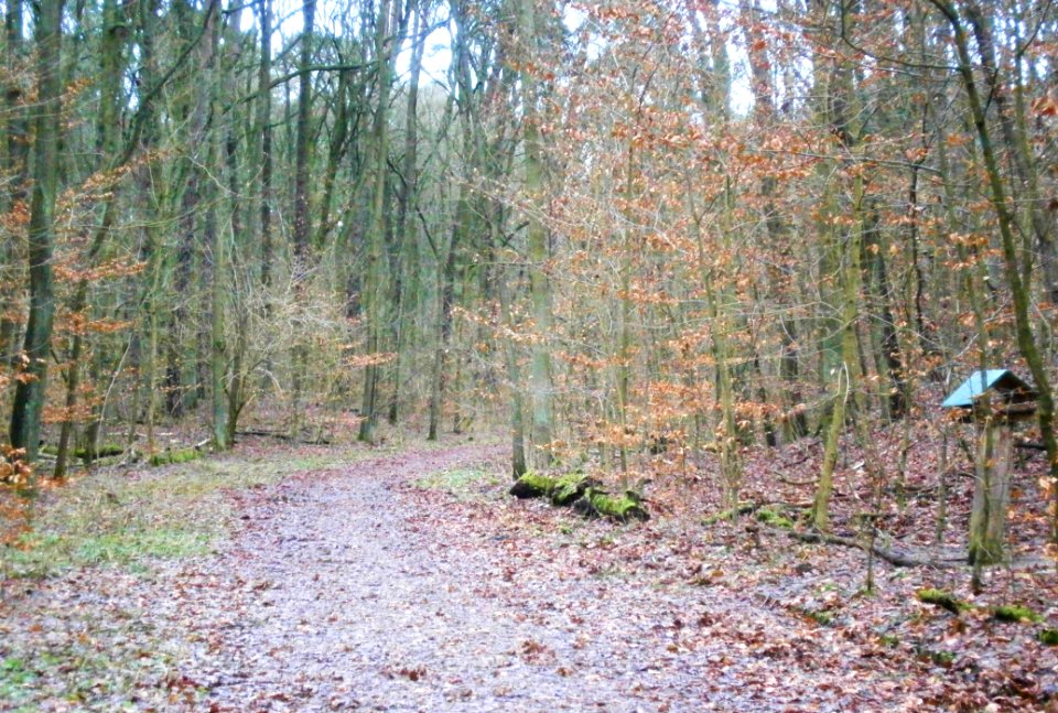Frohnau BergfelderStradtweg nord