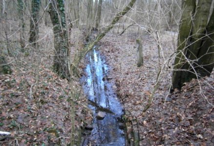 Frohnau BieselfließStadtgrenze