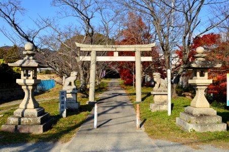 Fumori-jinja, torii-1