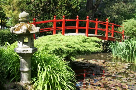Park wooden bridge bridge railing
