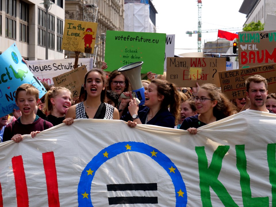 Front of the FridaysForFuture protest Berlin 24-05-2019 54