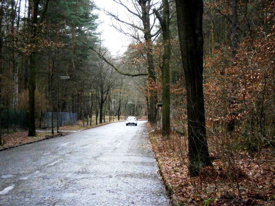 Frohnau Hubertusweg w