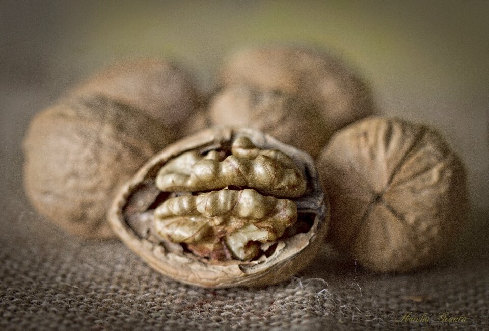 Detail maron dried fruits