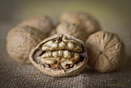 Detail maron dried fruits
