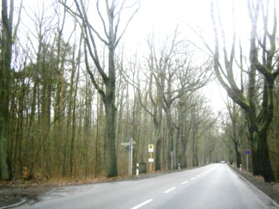 Frohnau OrBurgerCh S1 Jägerstieg