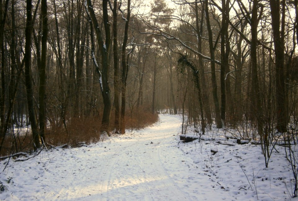 Frohnau BergefStadtw südw 52.658919-13.304722