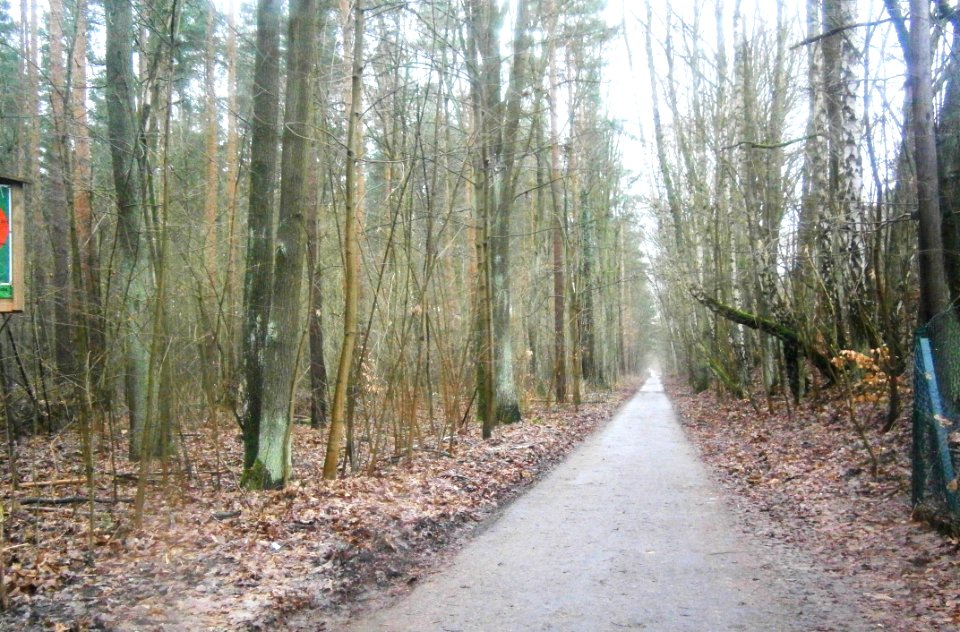 Frohnau Knigge-Mauerweg S1