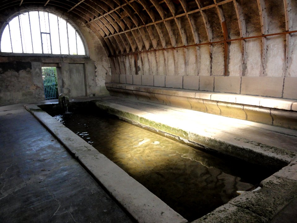 Fromeréville (Meuse) lavoir (02)