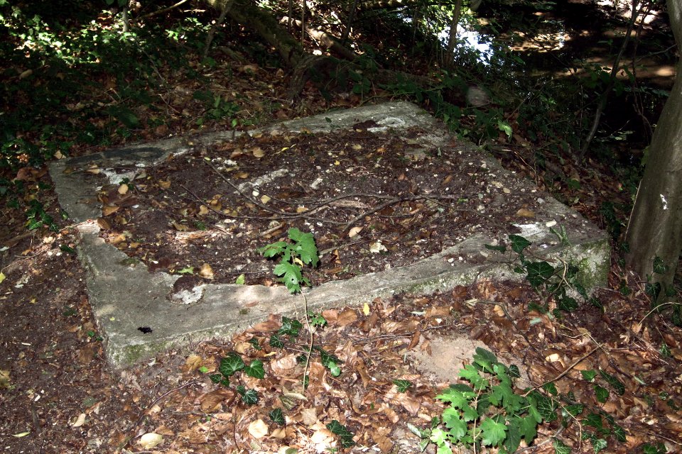 FundamentMörfelden