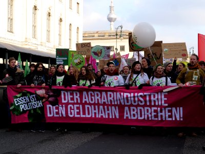 Front banner of the "Wir Haben Es Satt!" Demonstration 2019 29