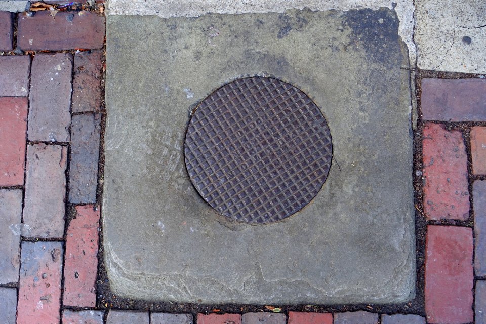 Fulton Iron Co. street hole cover - Beacon Hill - Boston, MA - DSC02326