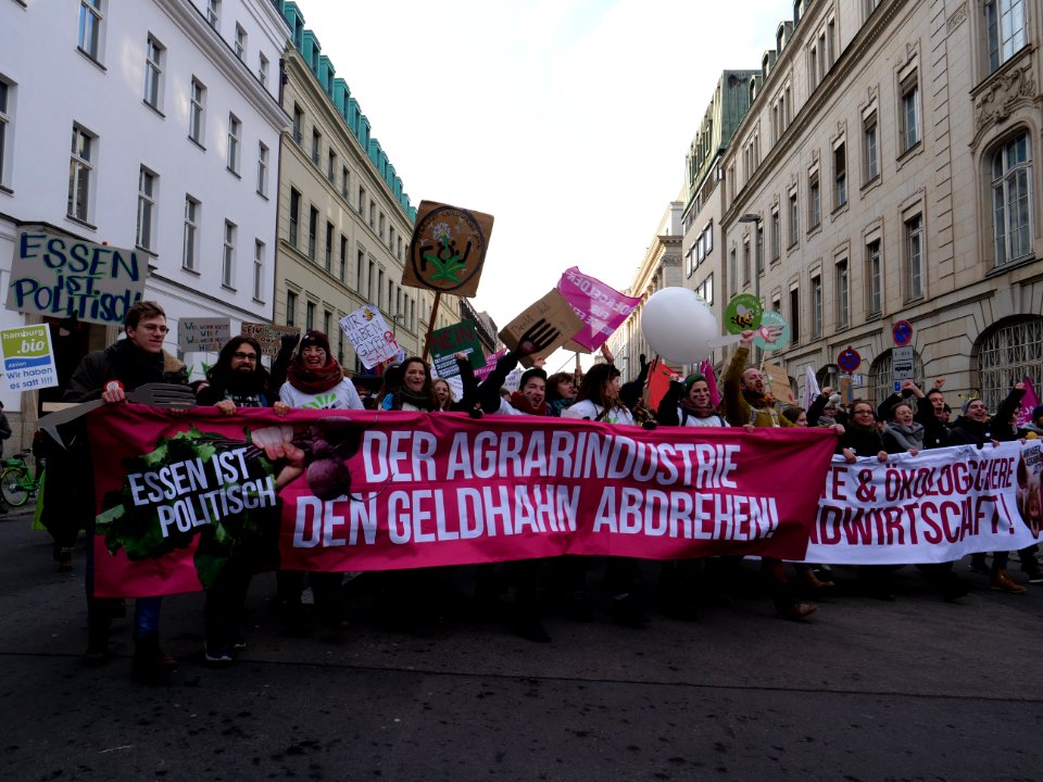 Front banner of the "Wir Haben Es Satt!" Demonstration 2019 25