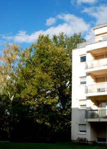 Fritzlarer Straße, Frankfurt-Bockenheim A39