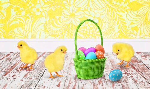 Easter eggs easter basket holiday