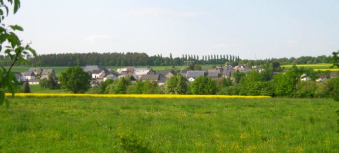 Frohnhofen03