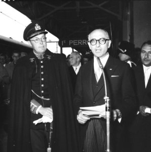 Frondiri in Nederland (aankomst in Baarn), Bestanddeelnr 911-3941