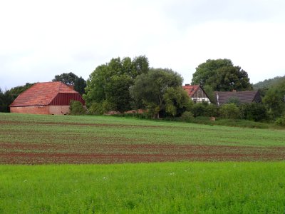 Fronderode 2