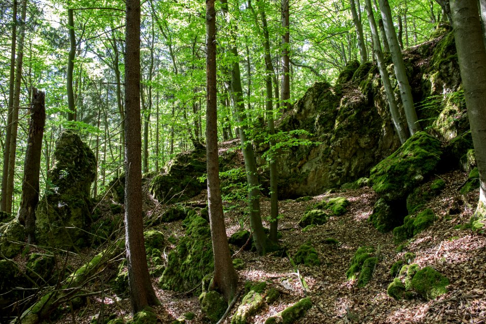 Fuchsenloch (E 18) 06