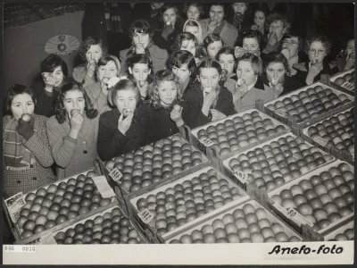 Fruit, veilingen, kinderen, Bestanddeelnr 046-0936