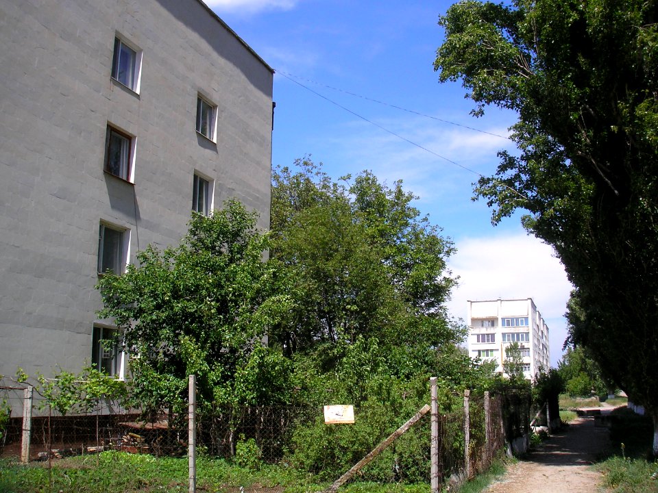 Frunze Sak 3
