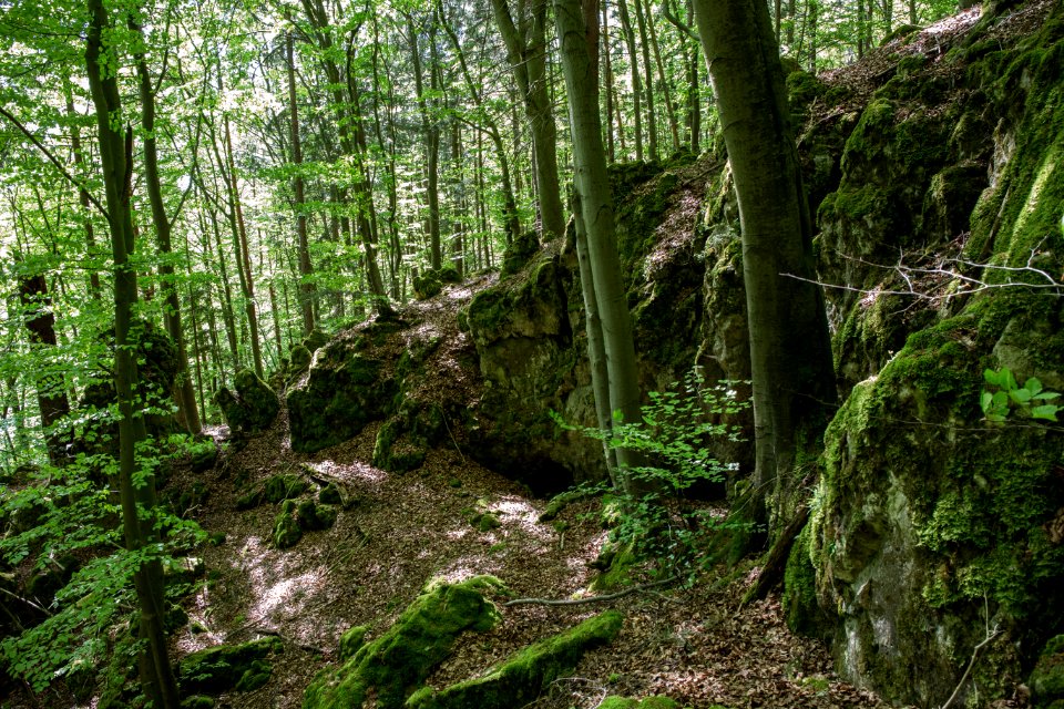 Fuchsenloch (E 18) 05