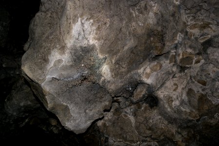 Fuchsenloch (E 18) 08