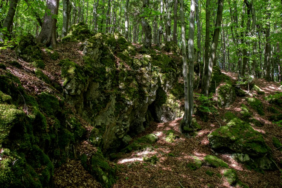 Fuchsenloch (E 18) 01