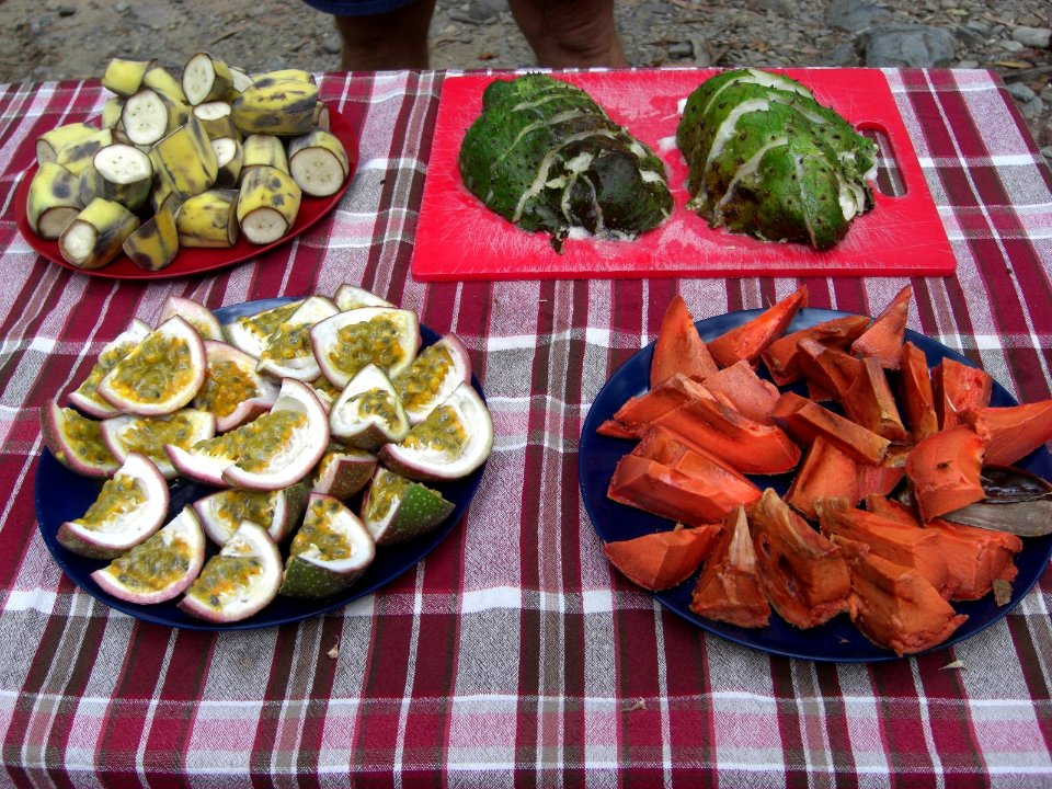 Fruits from Queensland